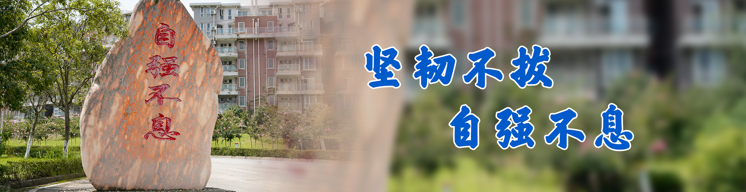 坚韧不拔 自强不息