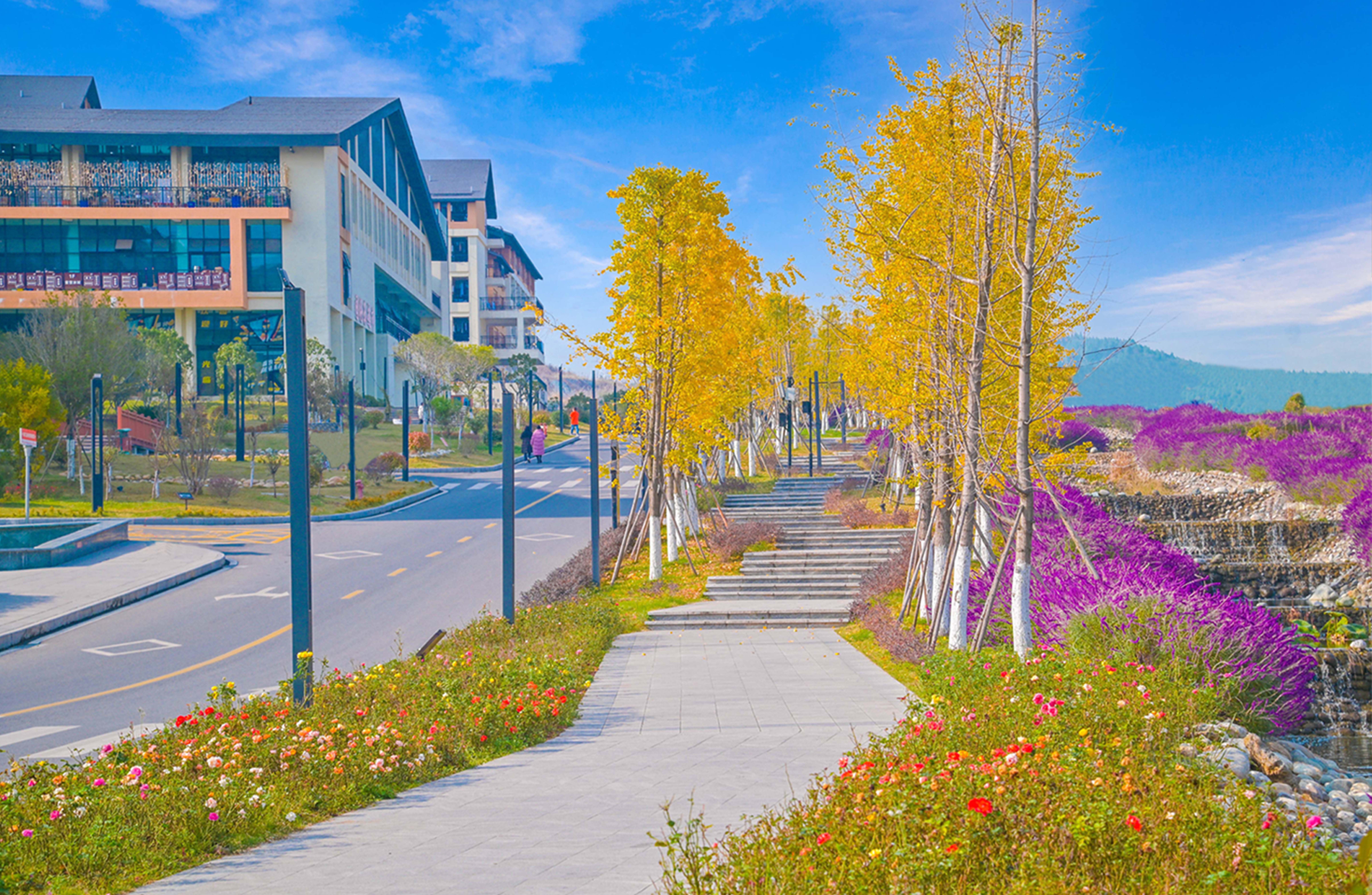 系统研读《习近平经济文选》 把握新时代经济发展理论精髓